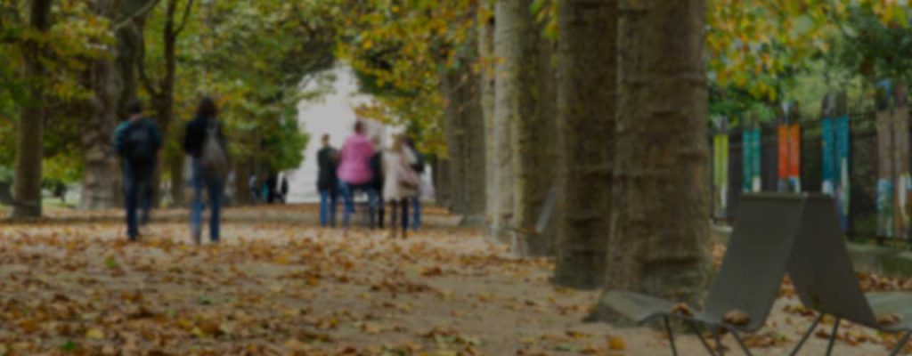Mpower College Students In Woods Banner