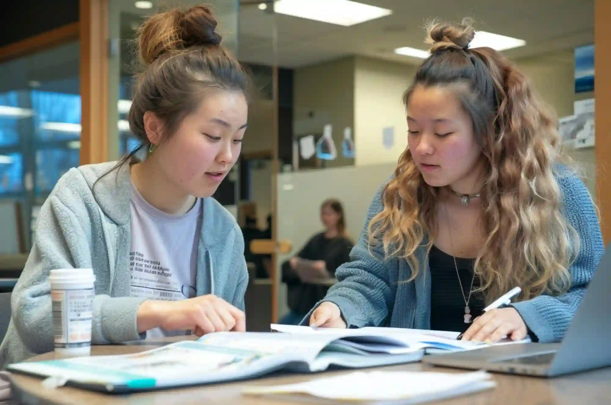 Insert Image alt text here